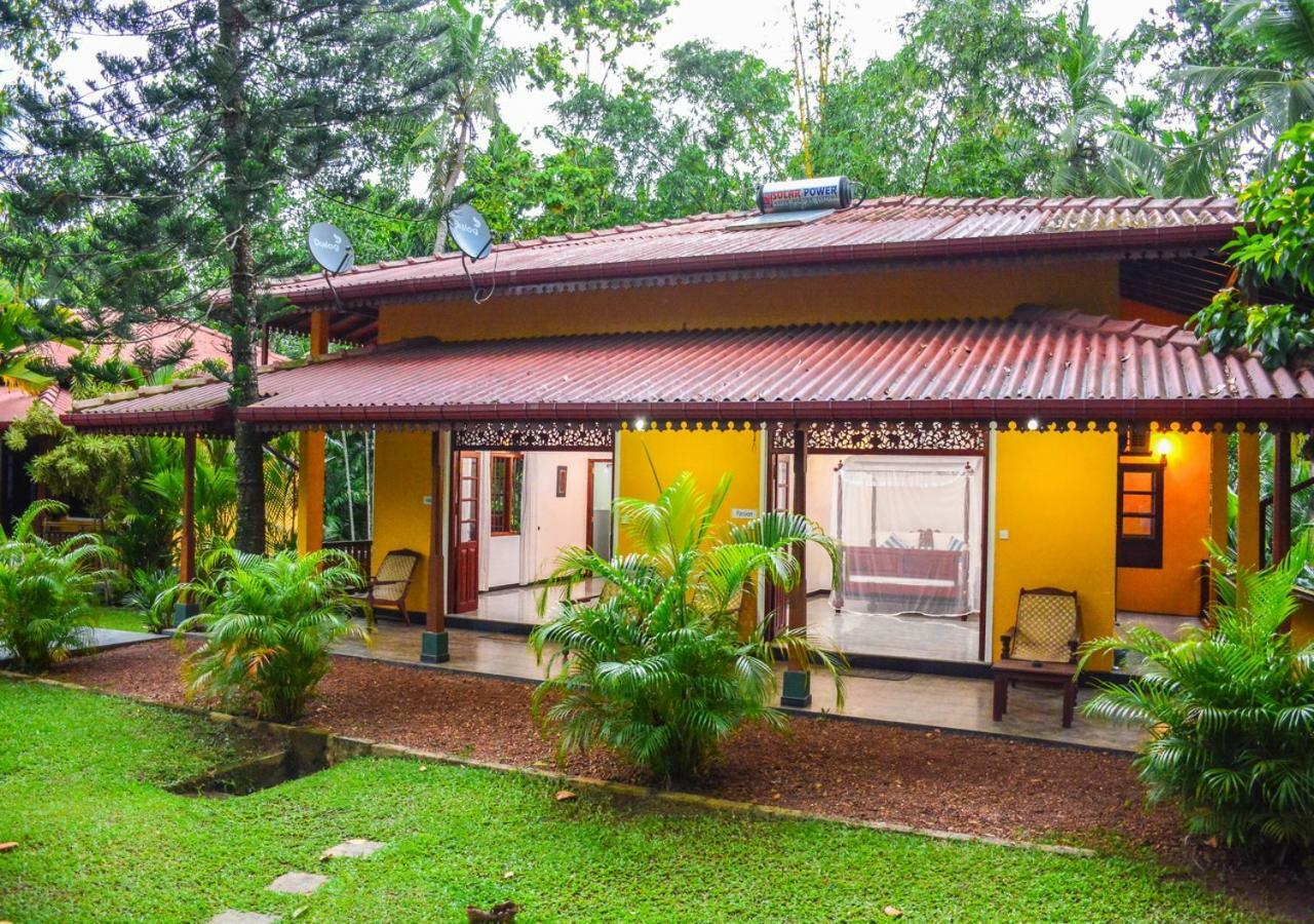 Araliya Gardens Hotel Hikkaduwa Esterno foto