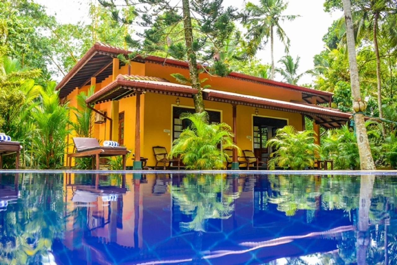 Araliya Gardens Hotel Hikkaduwa Esterno foto